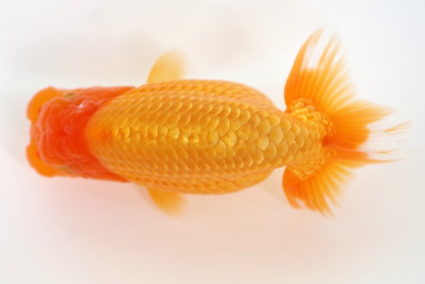 %e5%bd%93%e6%ad%b312%e5%b8%ad%e7%9b%b8%e7%94%b0%e6%b5%a9%e4%b9%8b