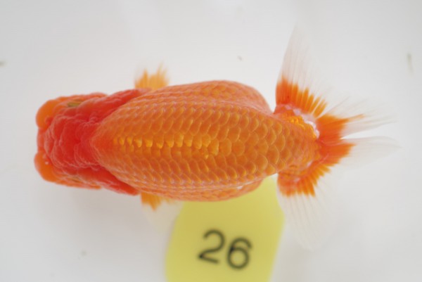 %e5%bd%93%e6%ad%b313%e5%b8%ad%e5%b1%b1%e7%94%b0%e7%be%a9%e6%b5%a9%e6%b0%8f