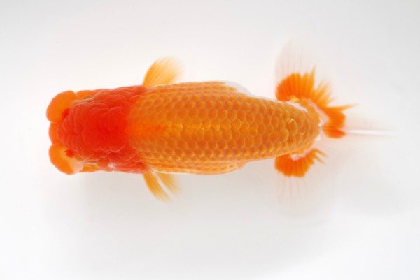 %e5%bd%93%e6%ad%b310%e5%b8%ad%e7%9b%b8%e7%94%b0%e6%b5%a9%e4%b9%8b