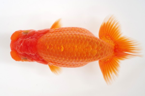 %e5%bd%93%e6%ad%b314%e5%b8%ad%e8%b3%80%e6%b2%bb%e5%96%9c%e4%b8%80%e6%b0%8f