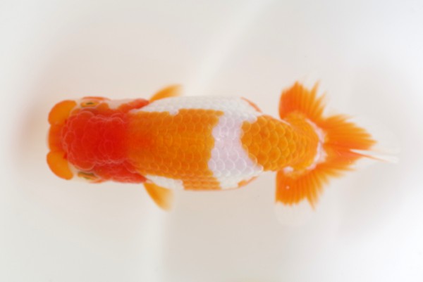 %e5%bd%93%e6%ad%b37%e5%b8%ad%e5%b1%b1%e5%8f%a3%e5%85%ac%e5%a5%bd%e6%b0%8f