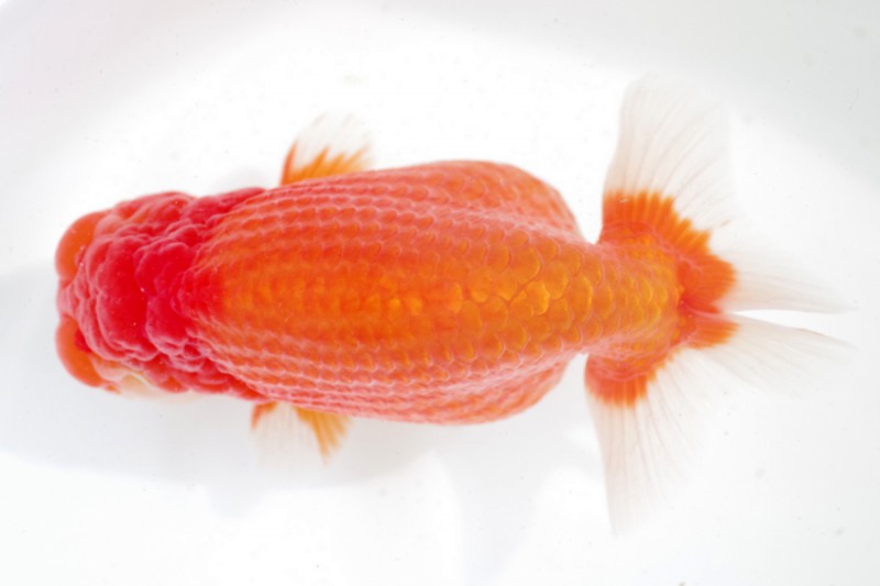 《親》05席_山田義浩（岡山）